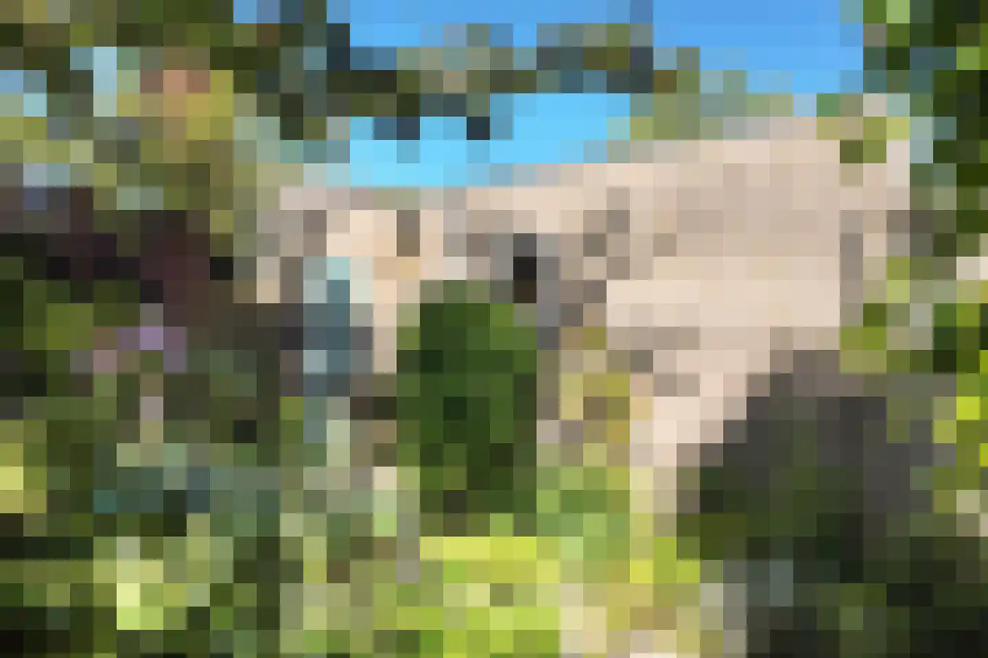 Schippersslagen 22 Breda thumbnail 72