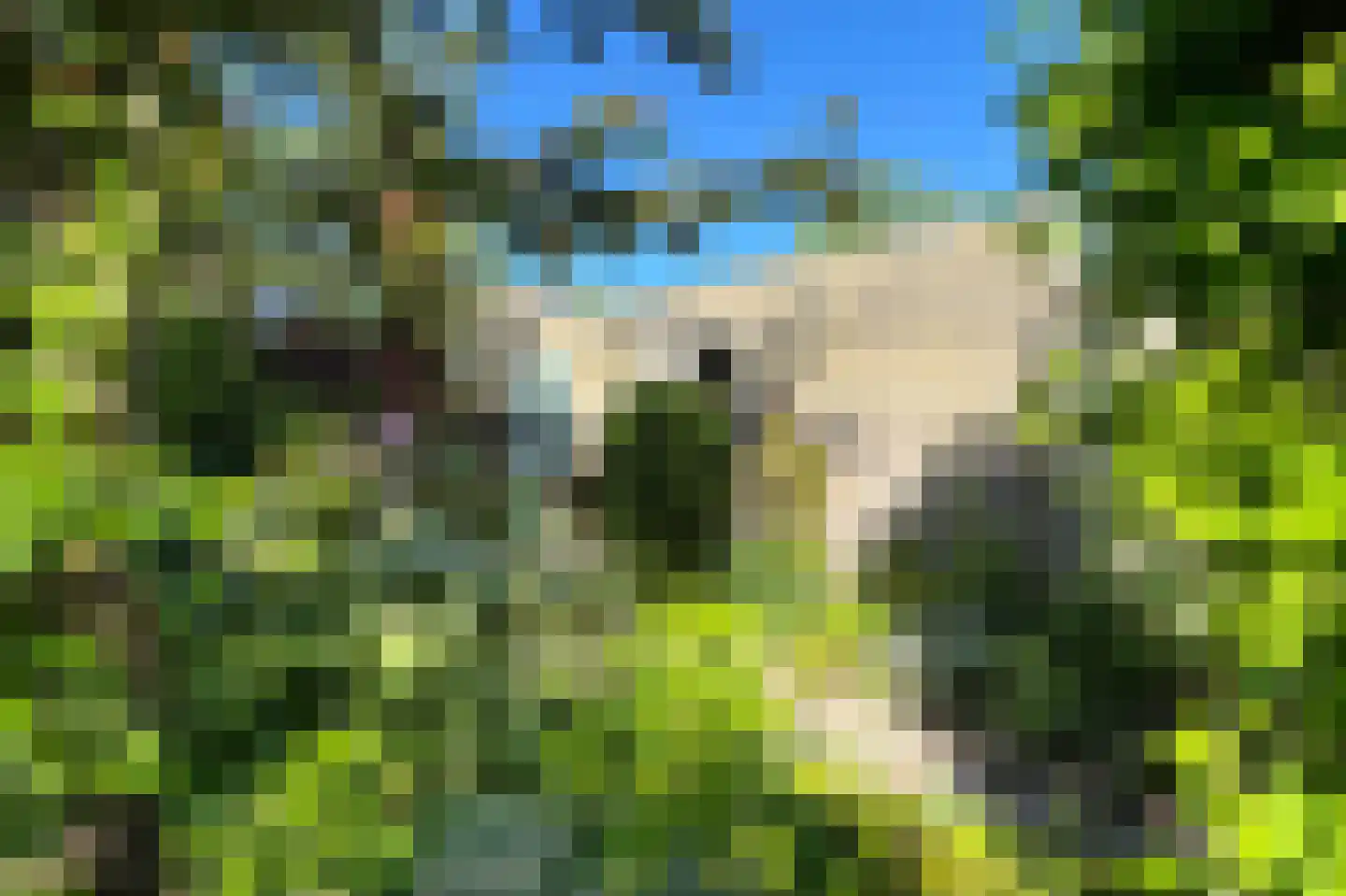Schippersslagen 22 Breda thumbnail 75