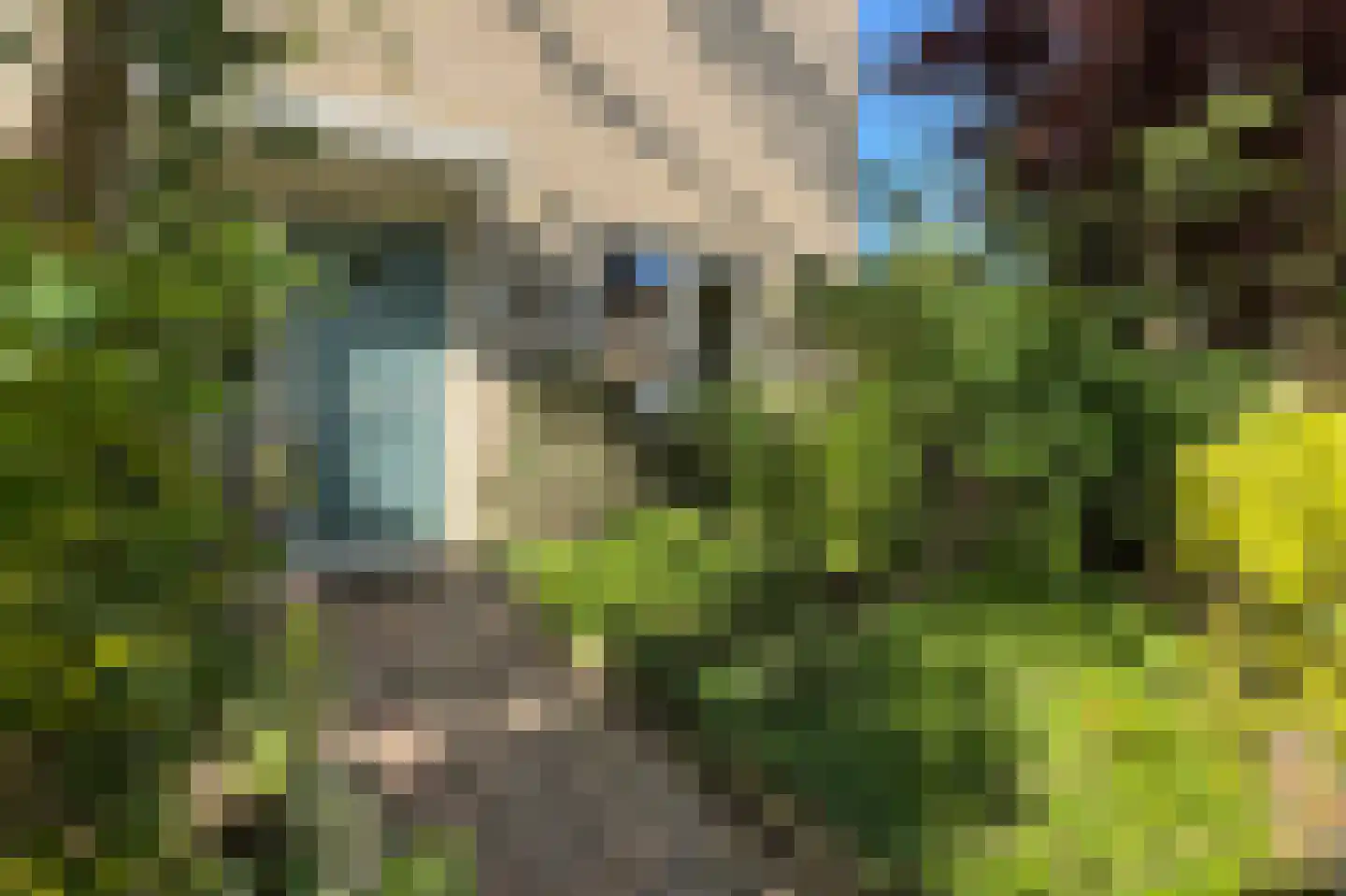 Schippersslagen 22 Breda thumbnail 76