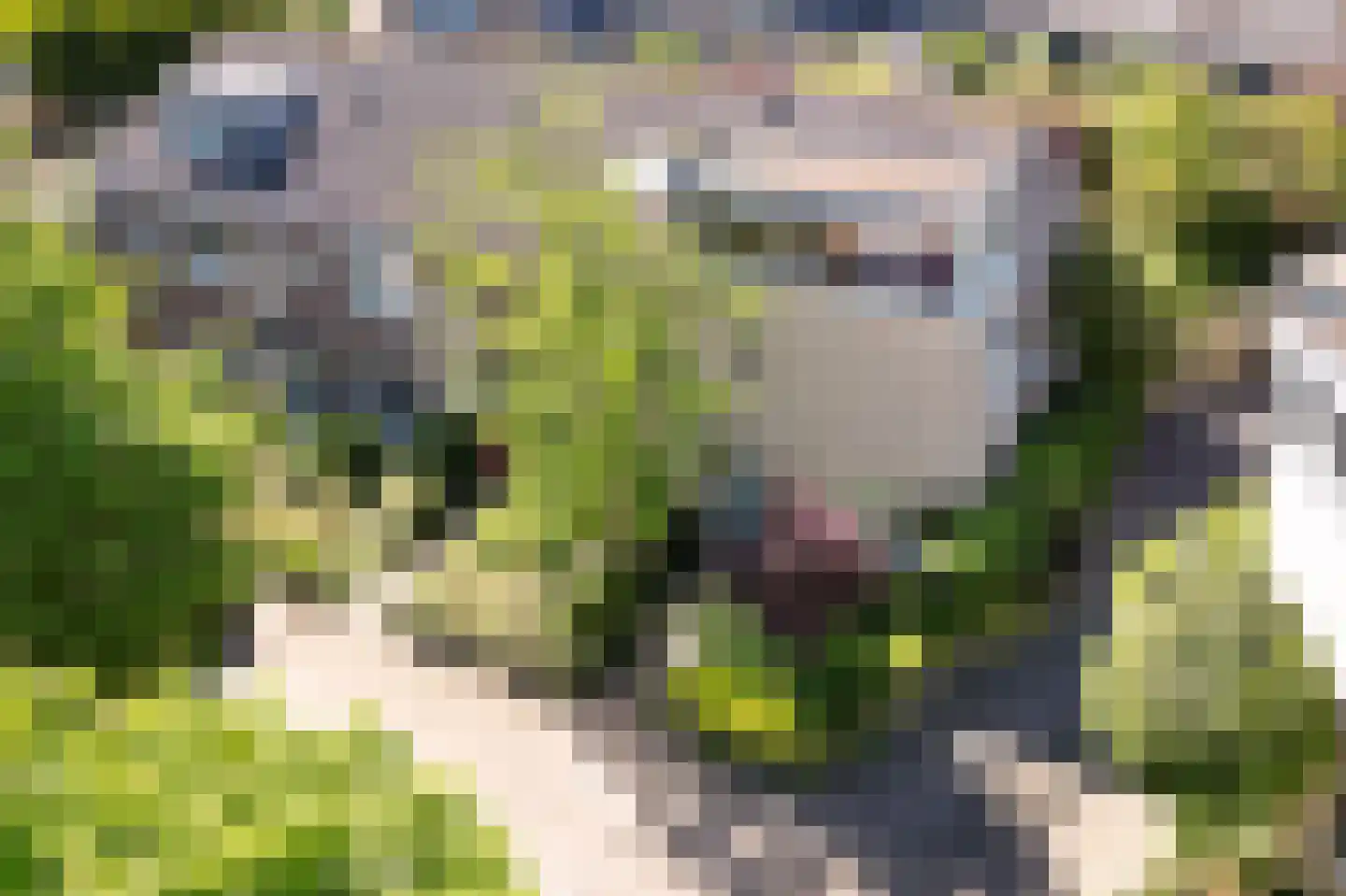 Schippersslagen 22 Breda thumbnail 80