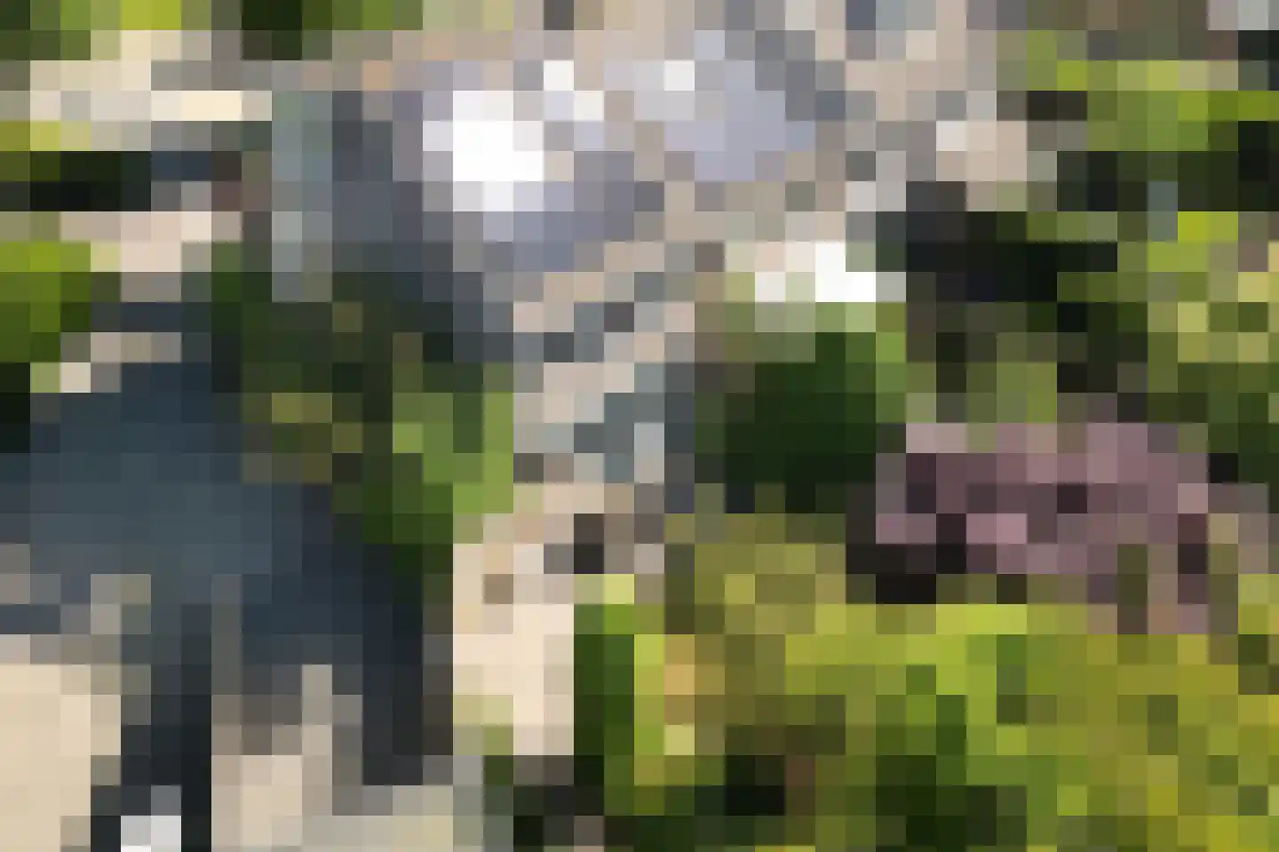 Schippersslagen 22 Breda thumbnail 81