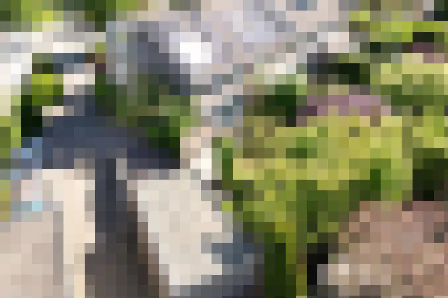 Schippersslagen 22 Breda thumbnail 82