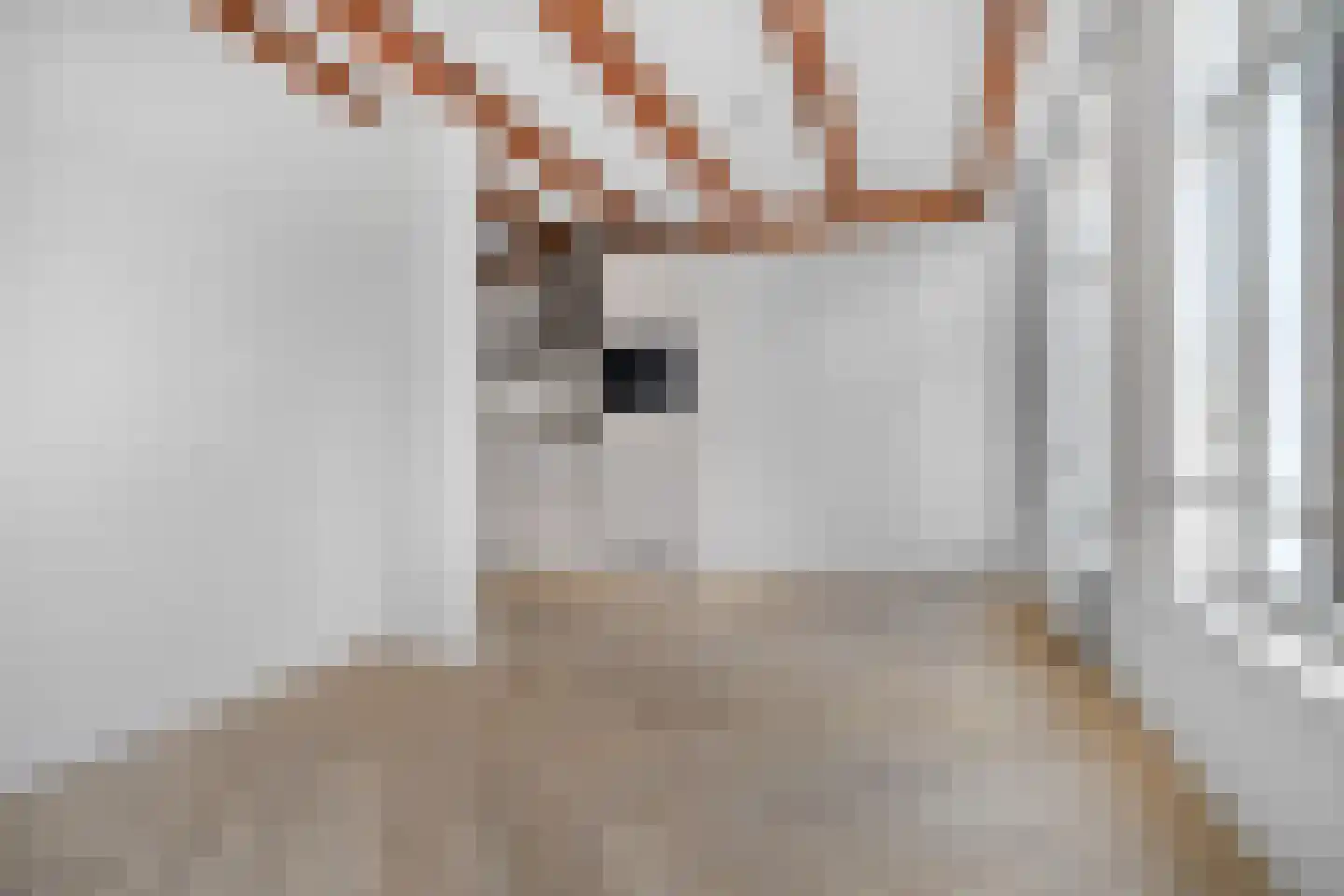 Schippersstraat 19 Amsterdam thumbnail 5