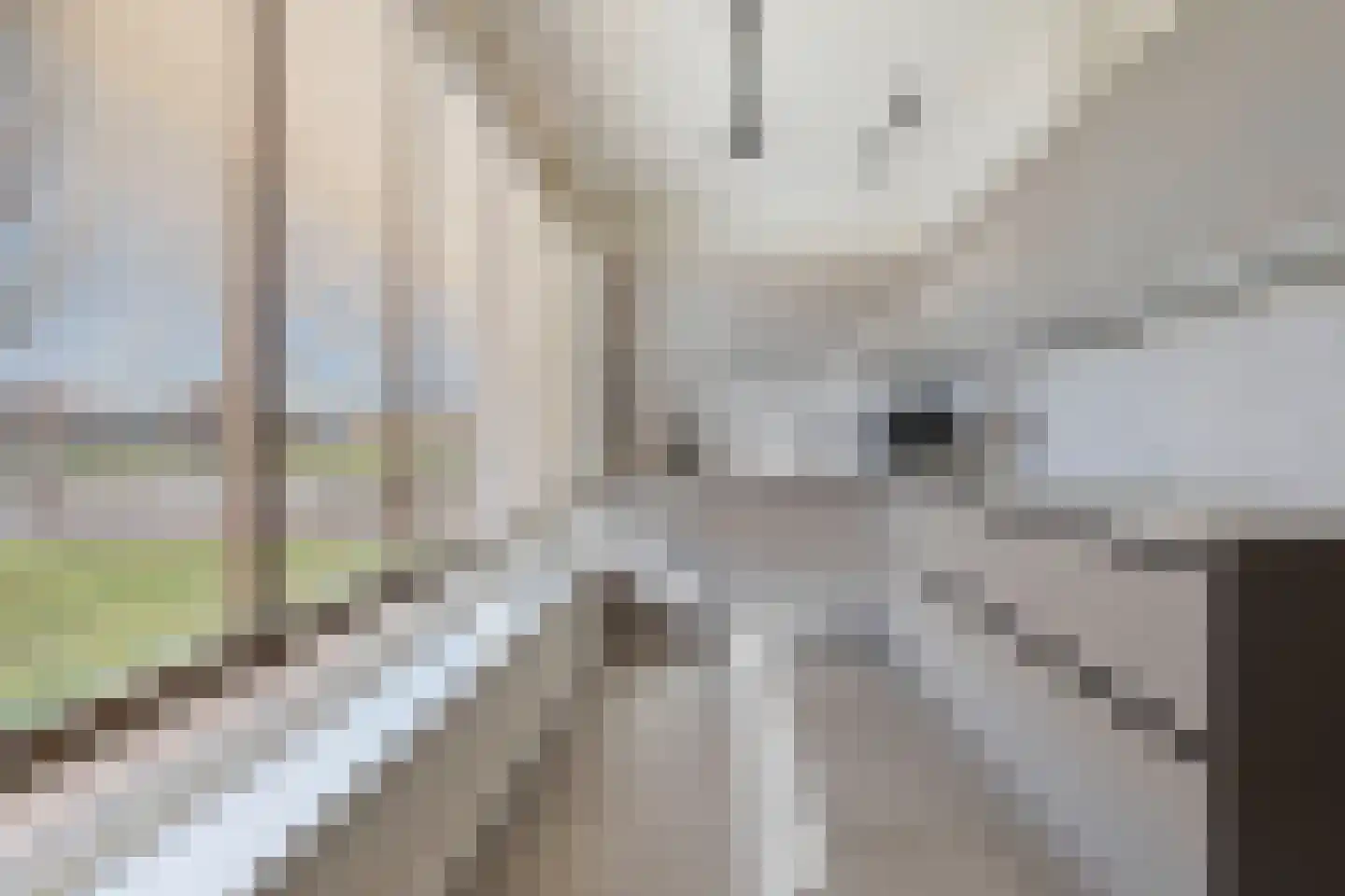 Schippersstraat 2 Venlo thumbnail 21