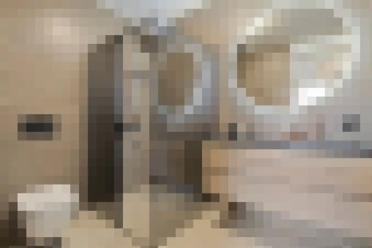 Schippersstraat 2 Venlo thumbnail 35