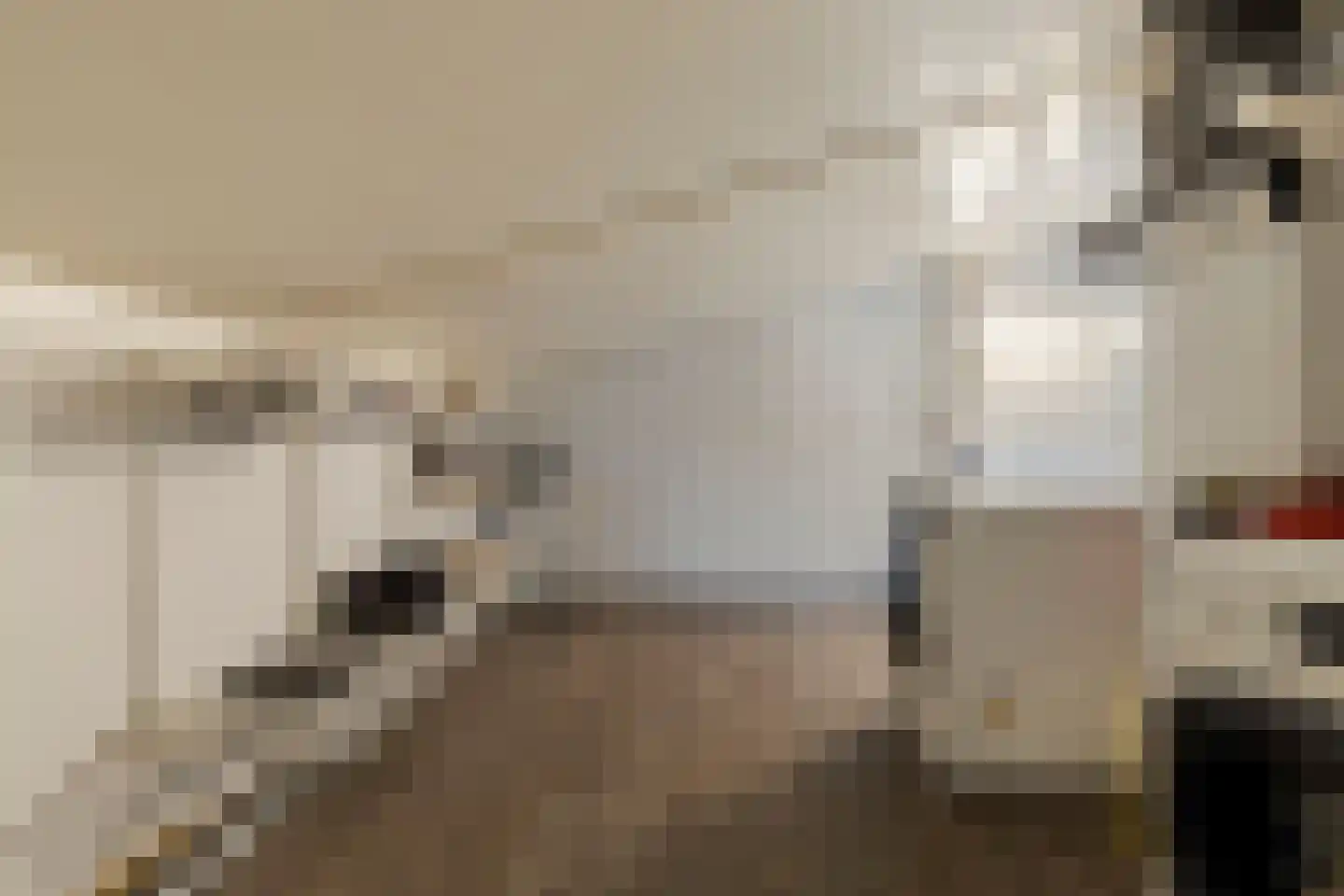 Schippersstraat 2 Venlo thumbnail 39
