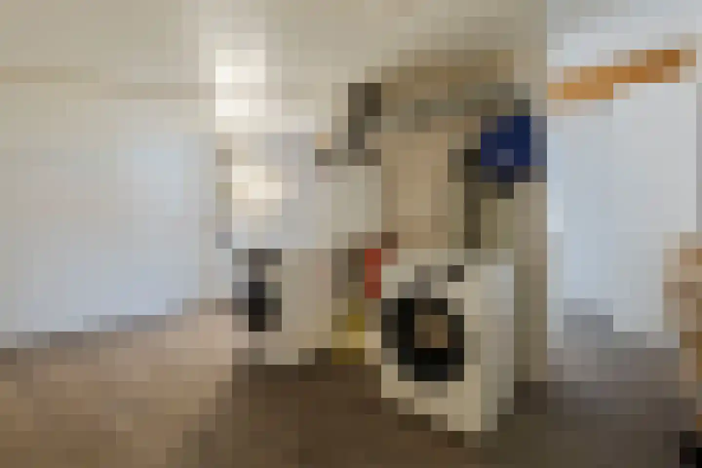 Schippersstraat 2 Venlo thumbnail 40