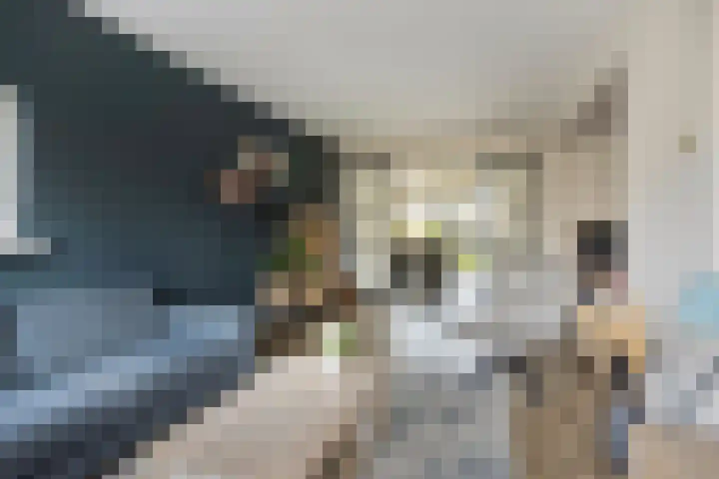 Schippersstraat 21 Enter thumbnail 6