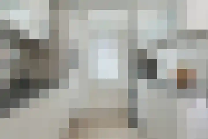 Schippersstraat 4 Noordhorn thumbnail 15