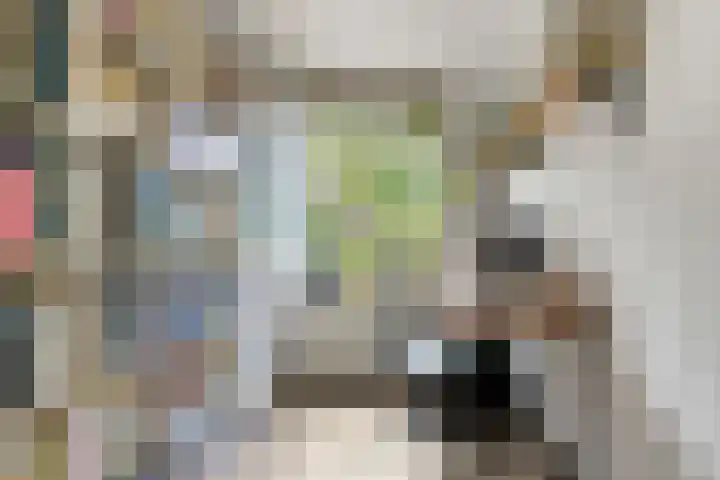 Schippersstraat 4 Noordhorn thumbnail 17