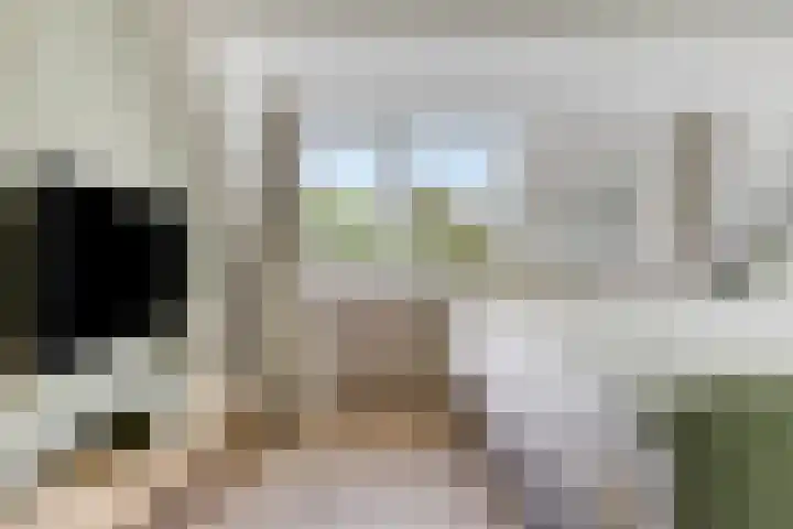 Schippersstraat 4 Noordhorn thumbnail 22