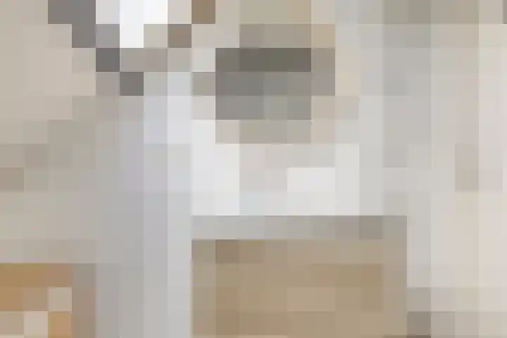 Schippersstraat 4 Noordhorn thumbnail 25