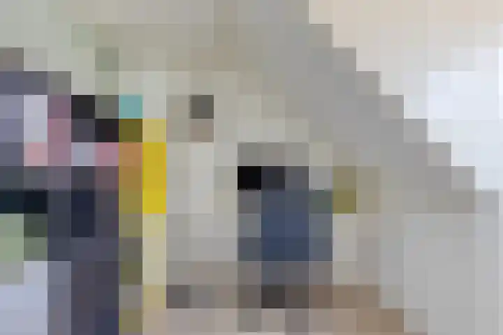 Schippersstraat 4 Noordhorn thumbnail 26