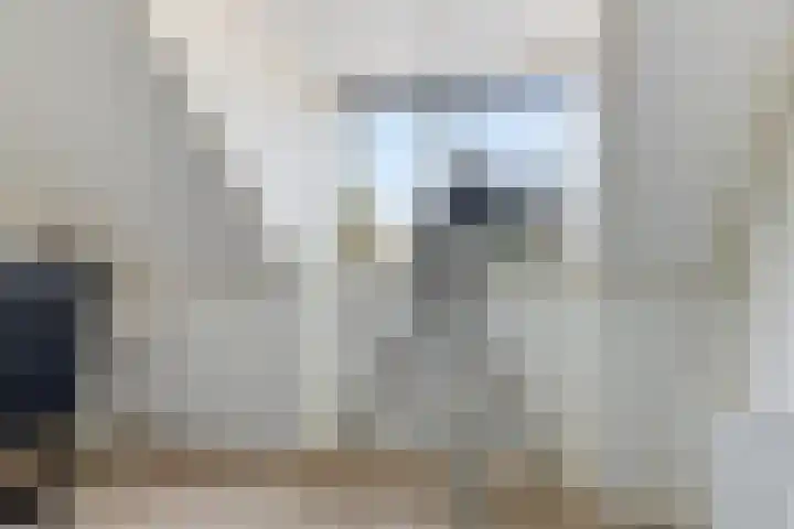 Schippersstraat 4 Noordhorn thumbnail 27