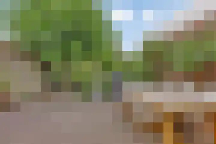Schippersstraat 4 Noordhorn thumbnail 29