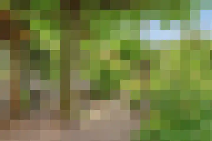 Schippersstraat 4 Noordhorn thumbnail 31