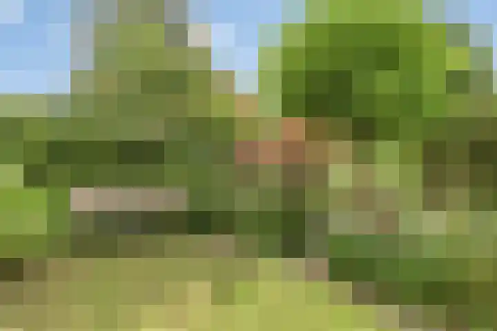 Schippersstraat 4 Noordhorn thumbnail 32