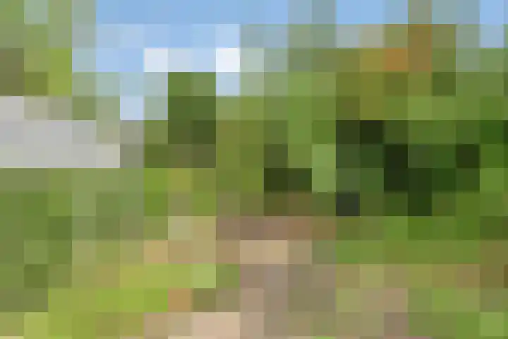 Schippersstraat 4 Noordhorn thumbnail 33