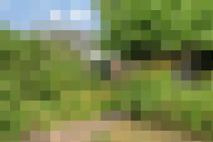 Schippersstraat 4 Noordhorn thumbnail 35