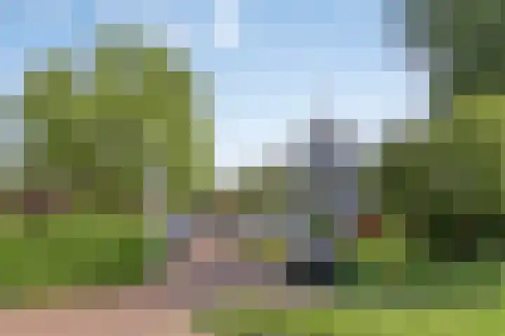 Schippersstraat 4 Noordhorn thumbnail 38