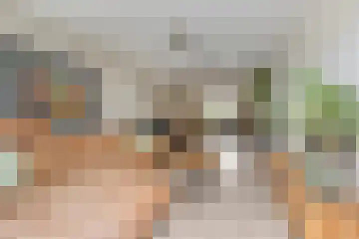 Schippersstraat 4 Noordhorn thumbnail 7