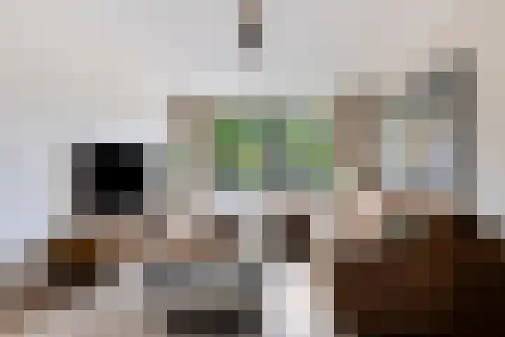 Schippersstraat 4 Noordhorn thumbnail 8