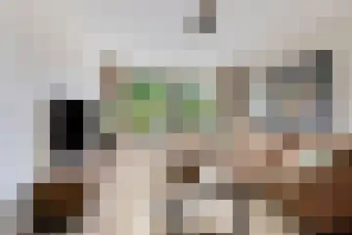 Schippersstraat 4 Noordhorn thumbnail 9