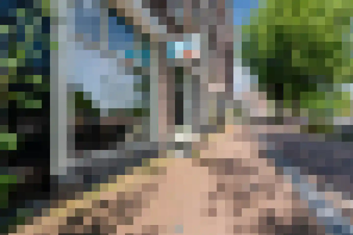 Schippersstraat 5 1 Amsterdam thumbnail 30