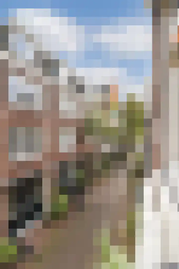 Schippersstraat 6 B Amsterdam thumbnail 29