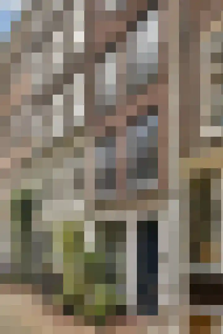 Schippersstraat 6 B Amsterdam thumbnail 32