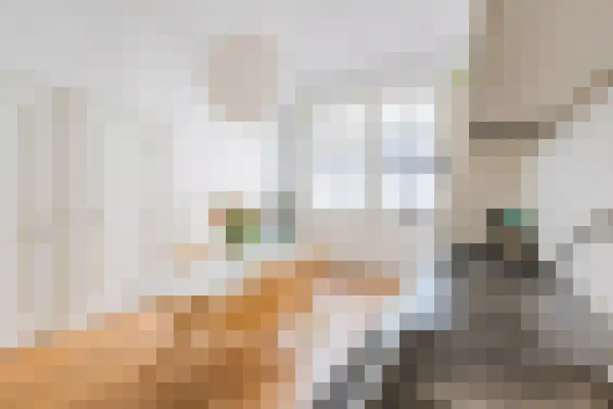 Schippersstraat 7 Amsterdam thumbnail 6