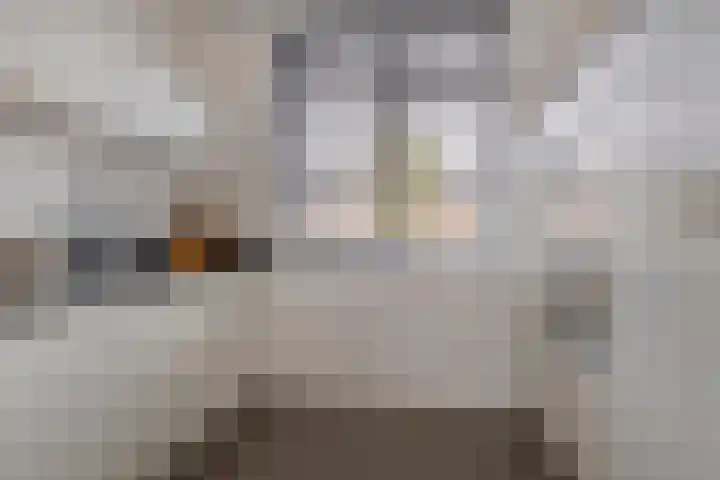 Schipperstraat 138 Etten-Leur thumbnail 12