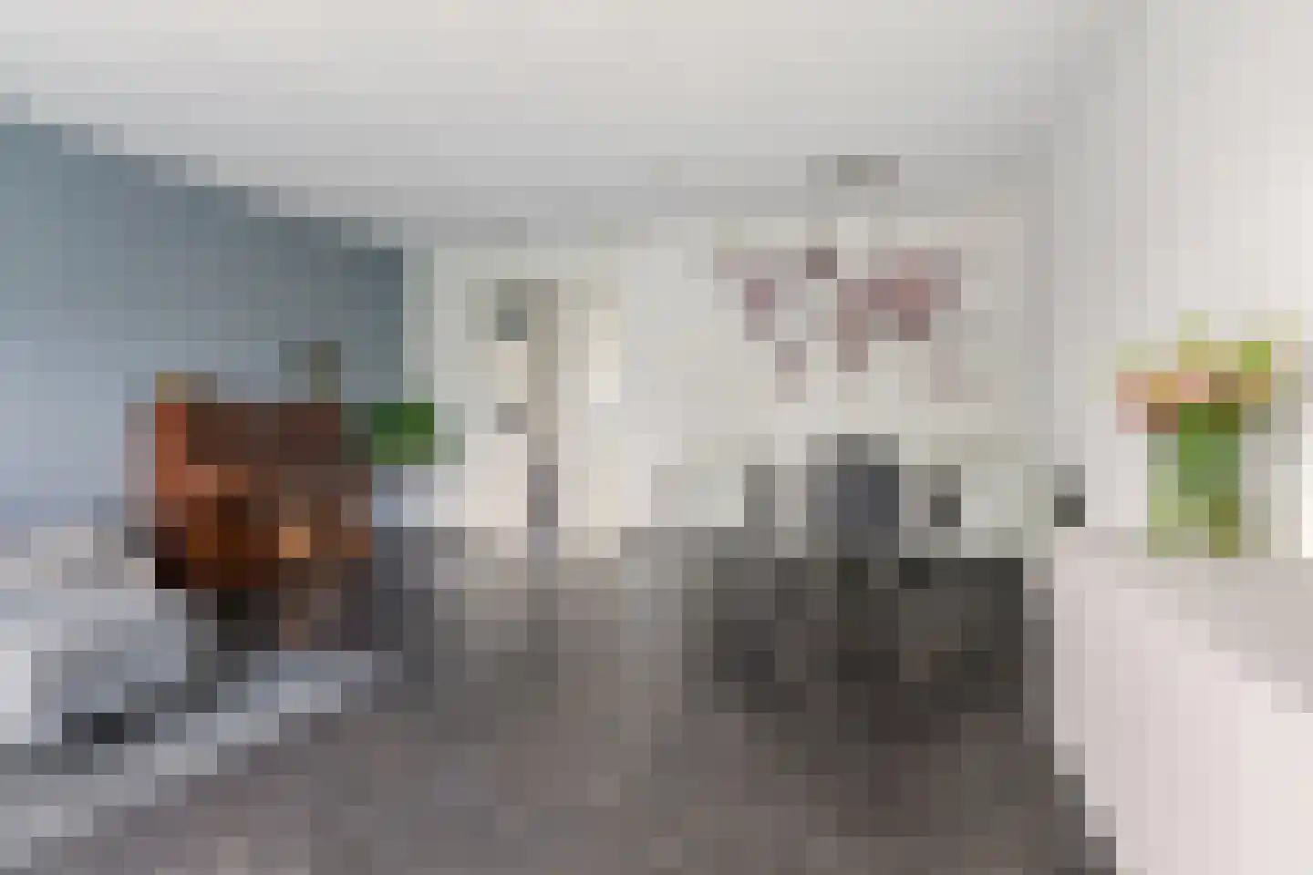 Schipperstraat 145 Etten-Leur thumbnail 13