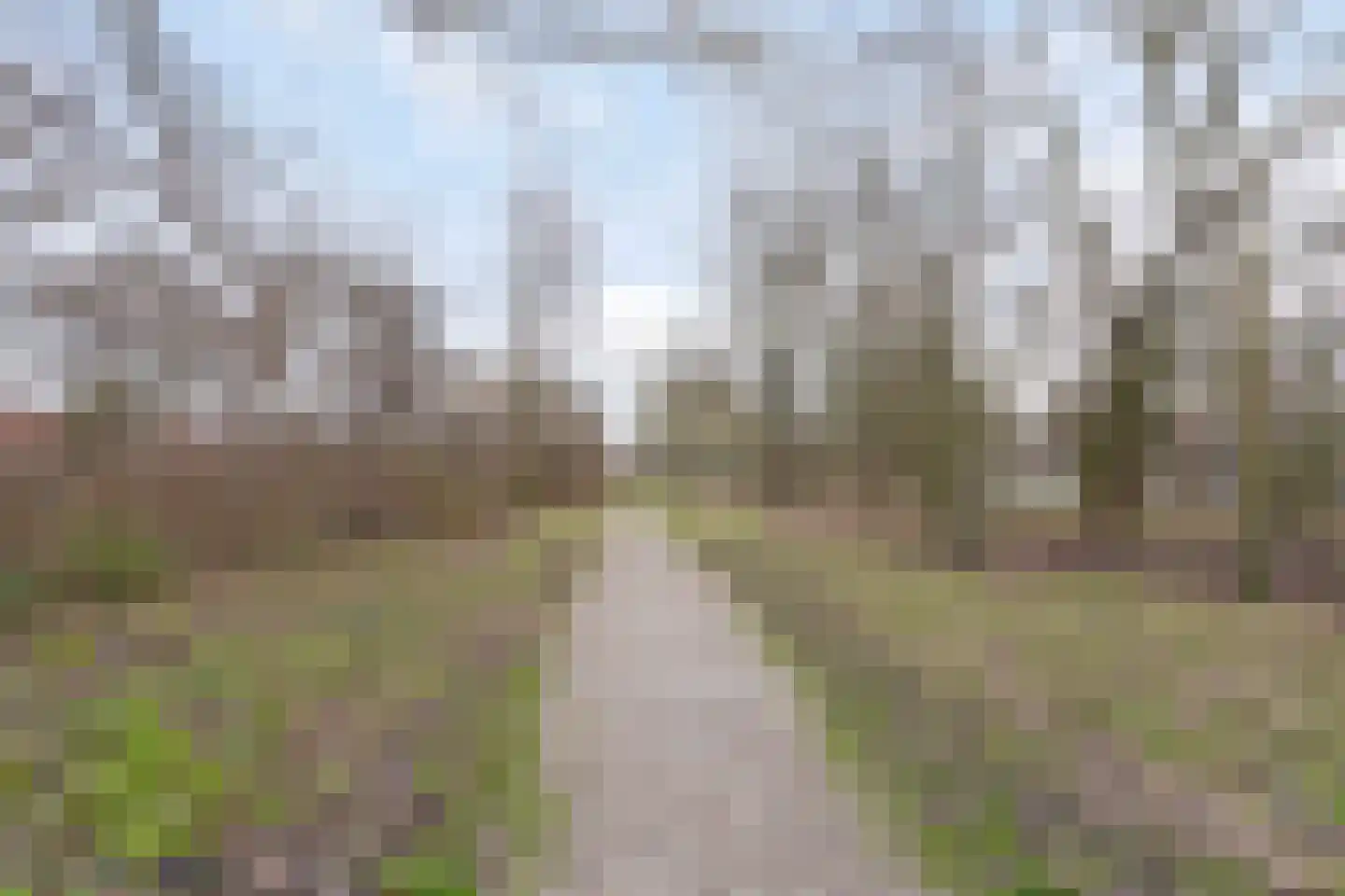 Schipperstraat 17 Alkmaar thumbnail 37