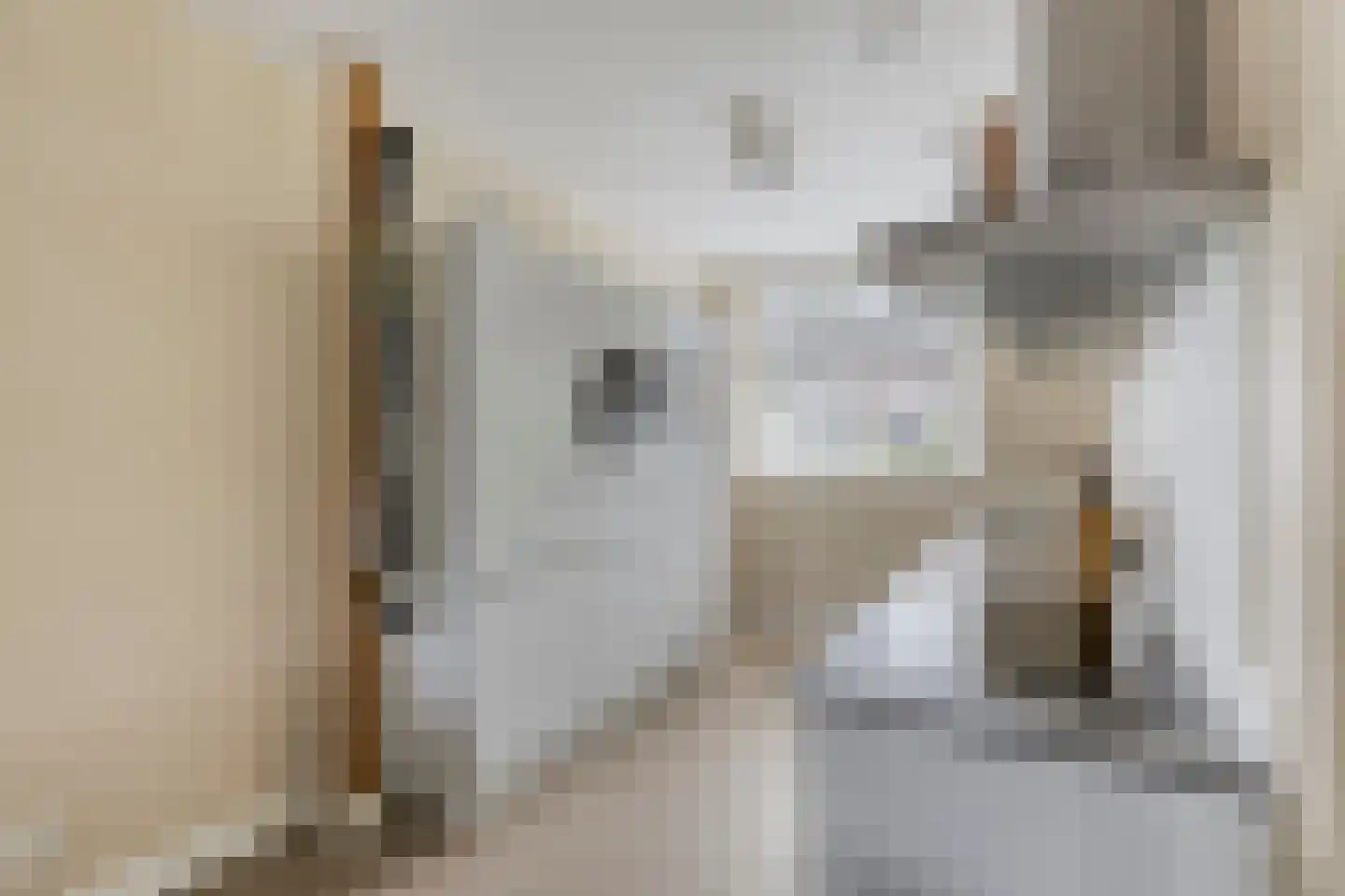 Schipperstraat 205 Etten-Leur thumbnail 18