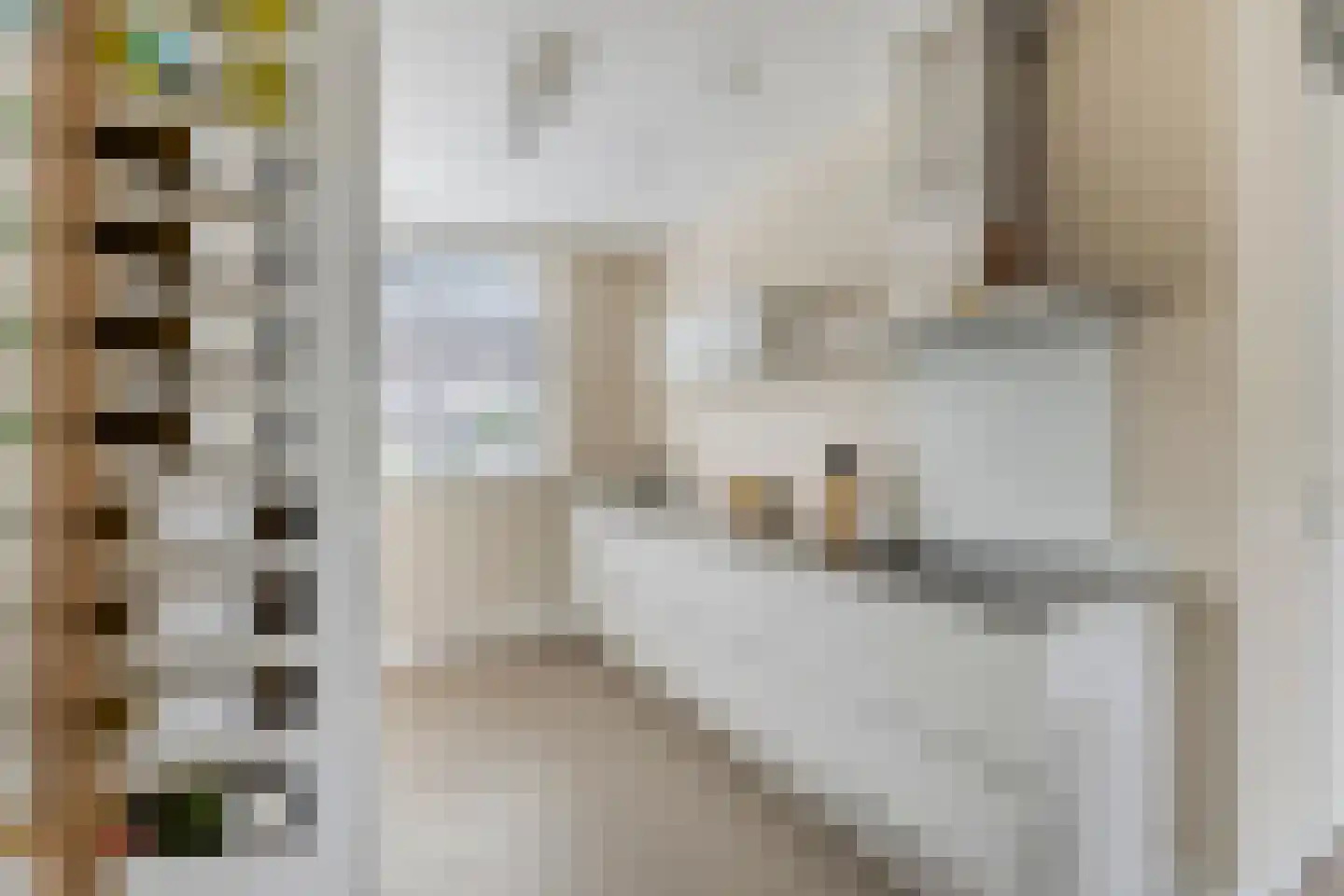 Schipperstraat 205 Etten-Leur thumbnail 20