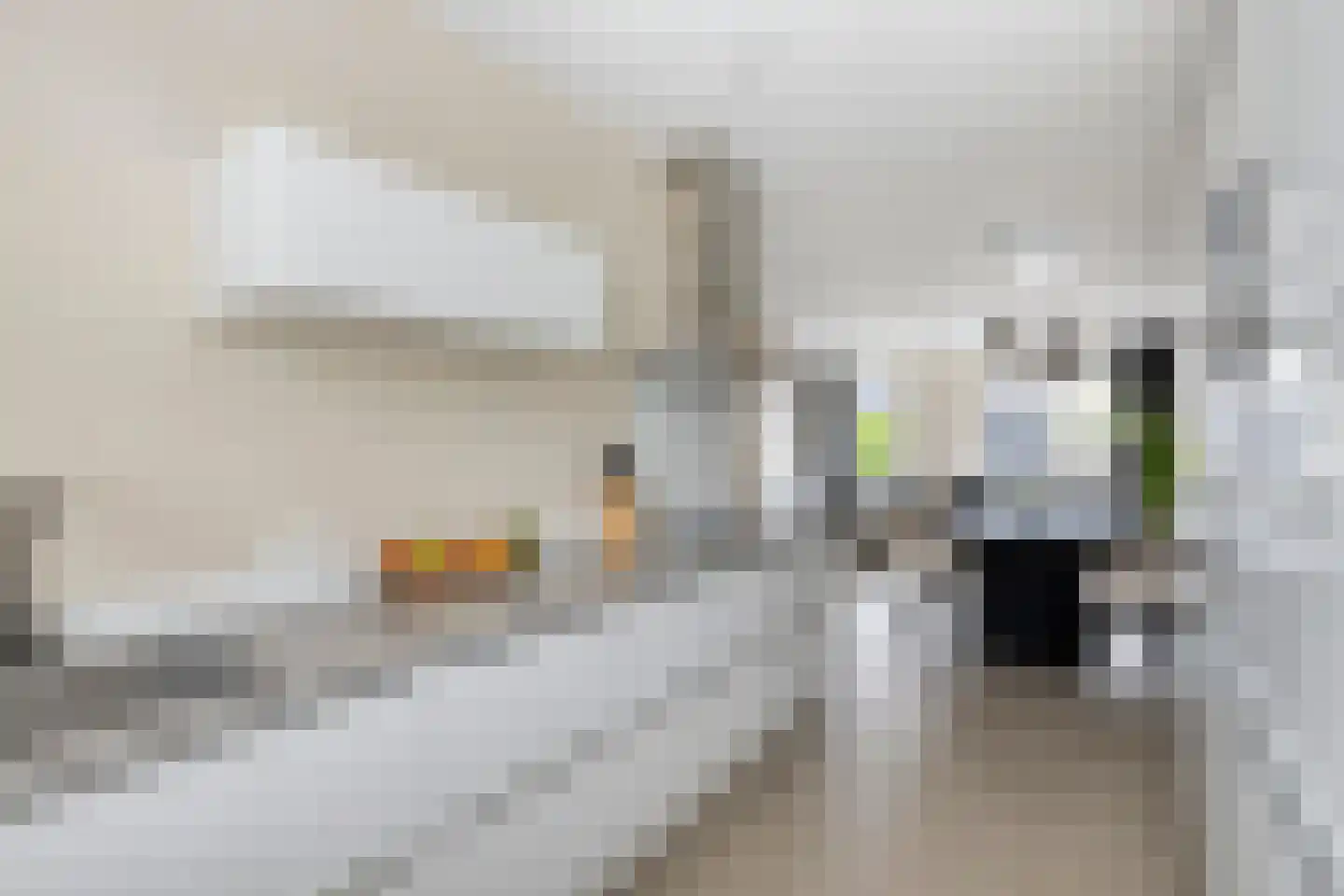 Schipperstraat 205 Etten-Leur thumbnail 21