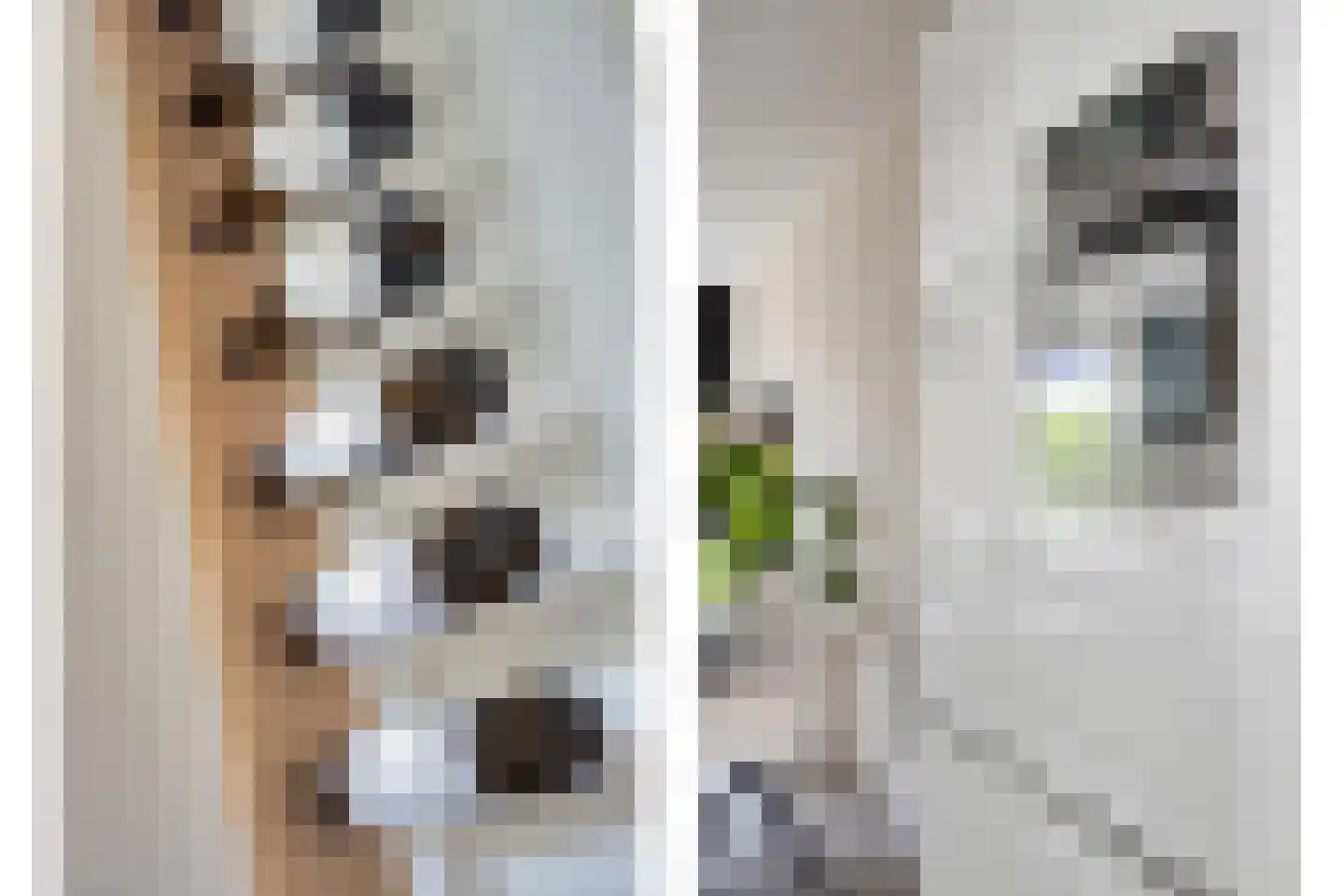 Schipperstraat 205 Etten-Leur thumbnail 22