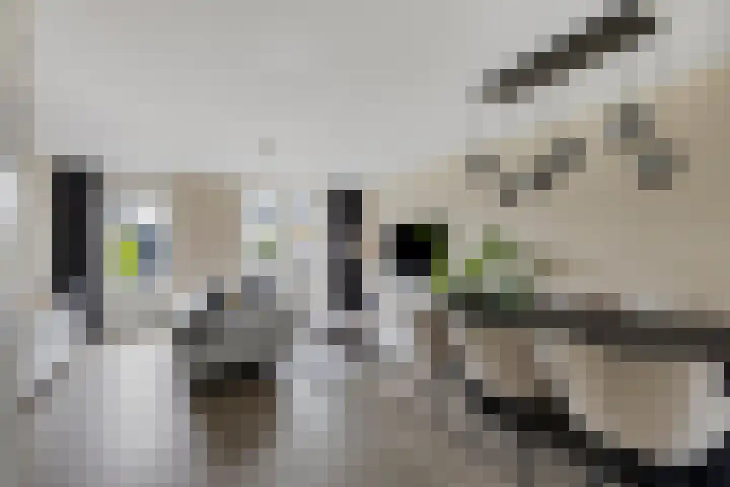 Schipperstraat 205 Etten-Leur thumbnail 9