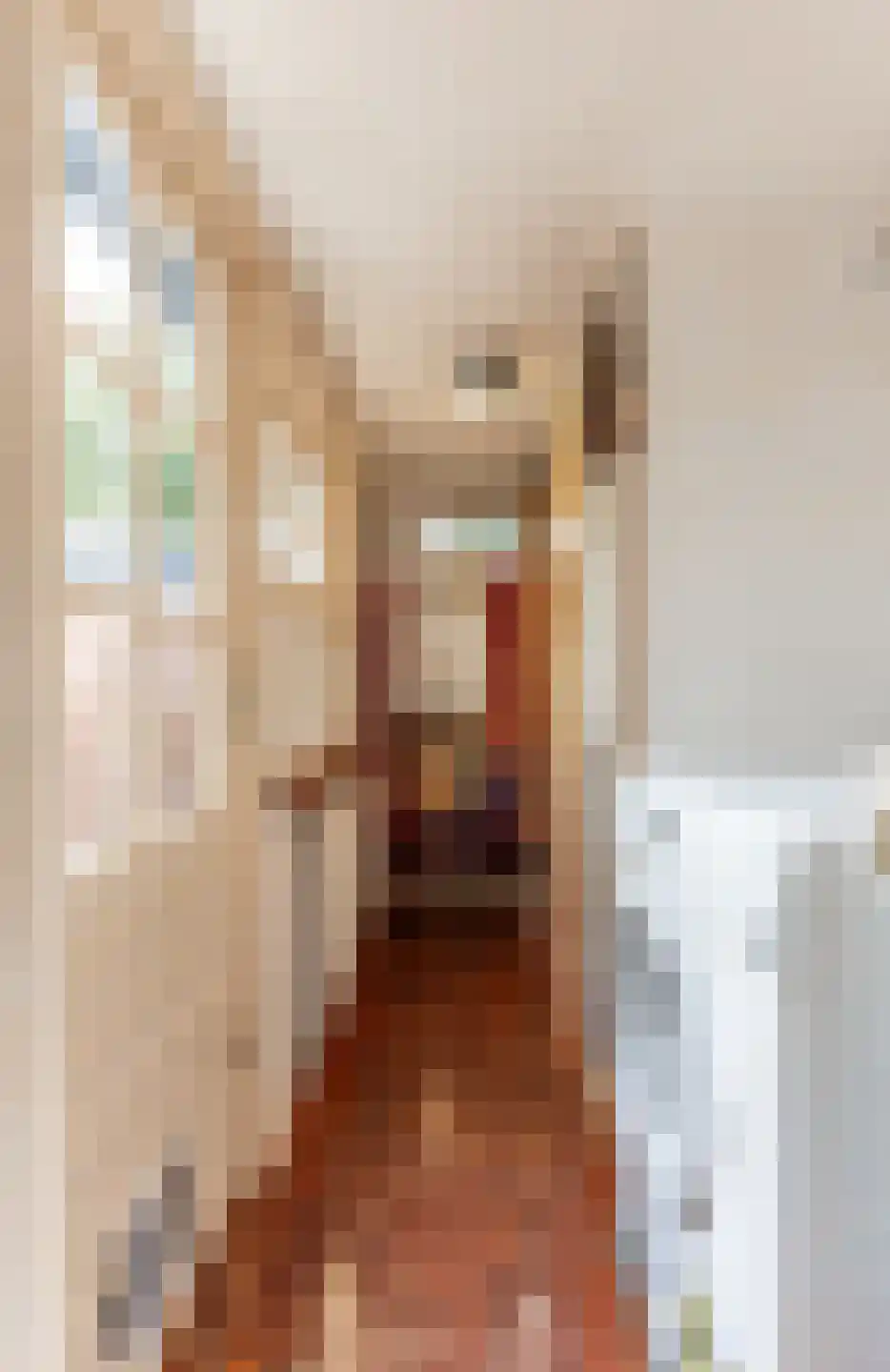 Schipperstraat 24 Huizen thumbnail 10
