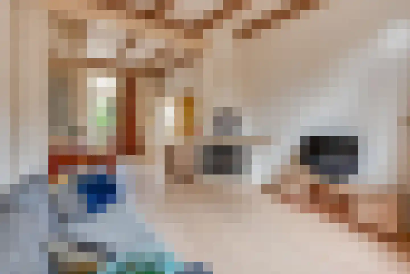 Schipperstraat 24 Huizen thumbnail 7
