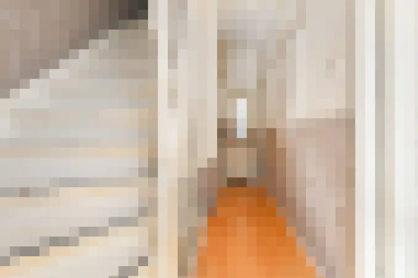 Schipperstraat 37 Den Haag thumbnail 7