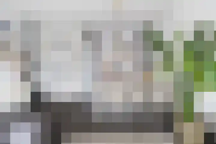 Schipperstraat 46 Etten-Leur thumbnail 10