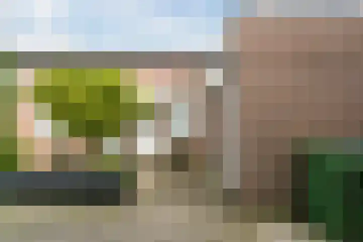 Schipperstraat 47 Alkmaar thumbnail 6