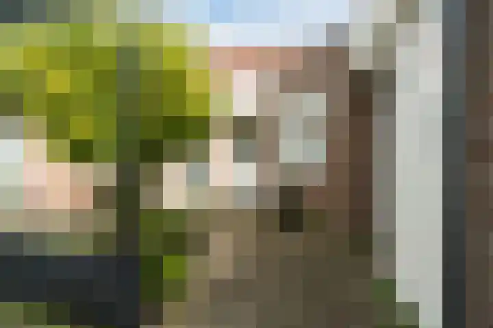 Schipperstraat 47 Alkmaar thumbnail 8