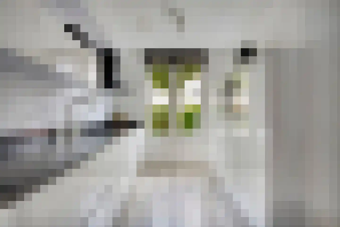 Schipperstraat 50 Etten-Leur thumbnail 17