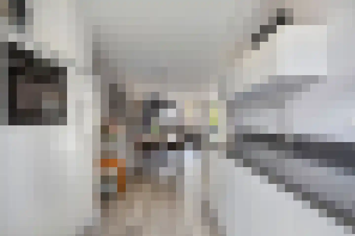 Schipperstraat 50 Etten-Leur thumbnail 18