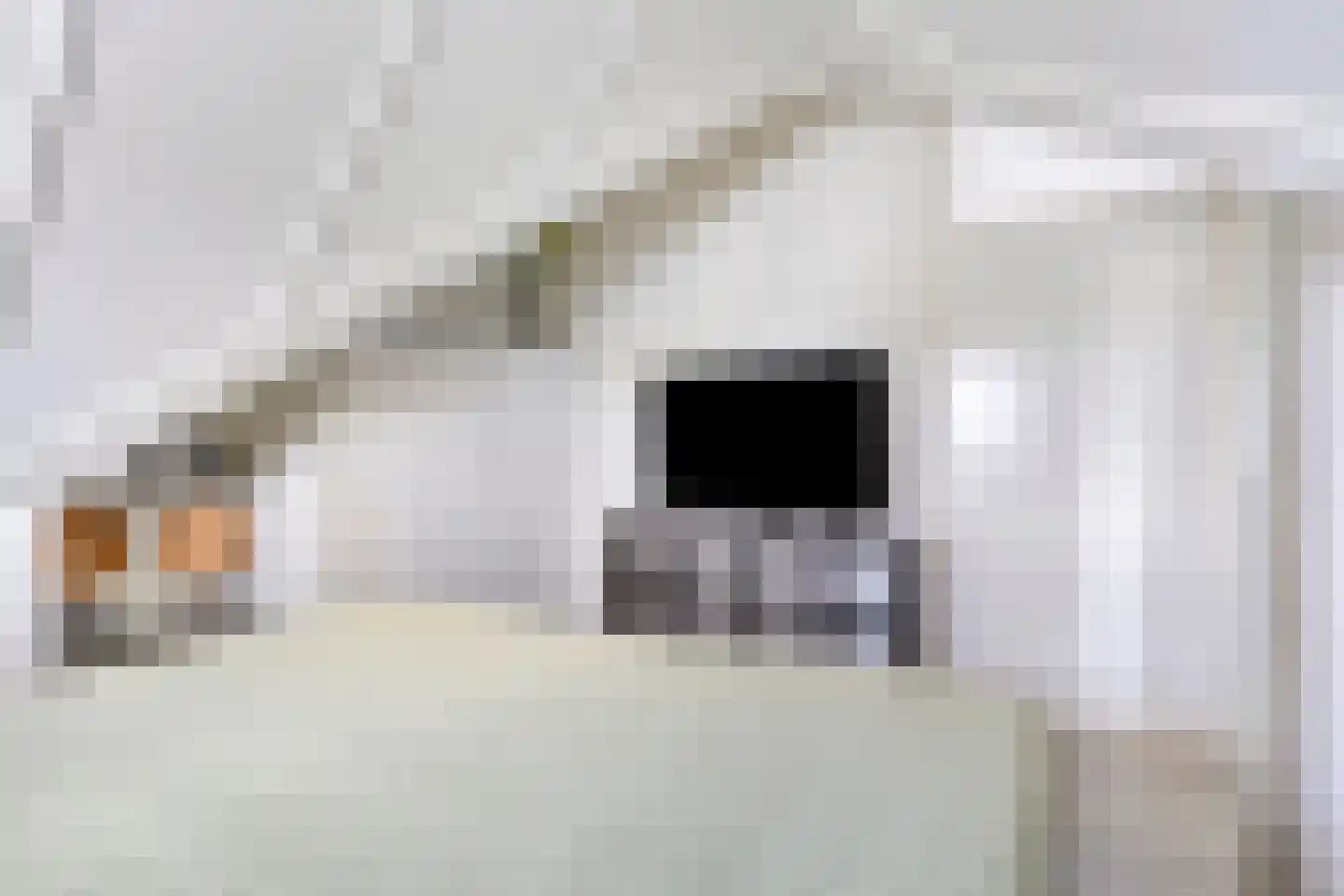 Schipperstraat 50 Etten-Leur thumbnail 32