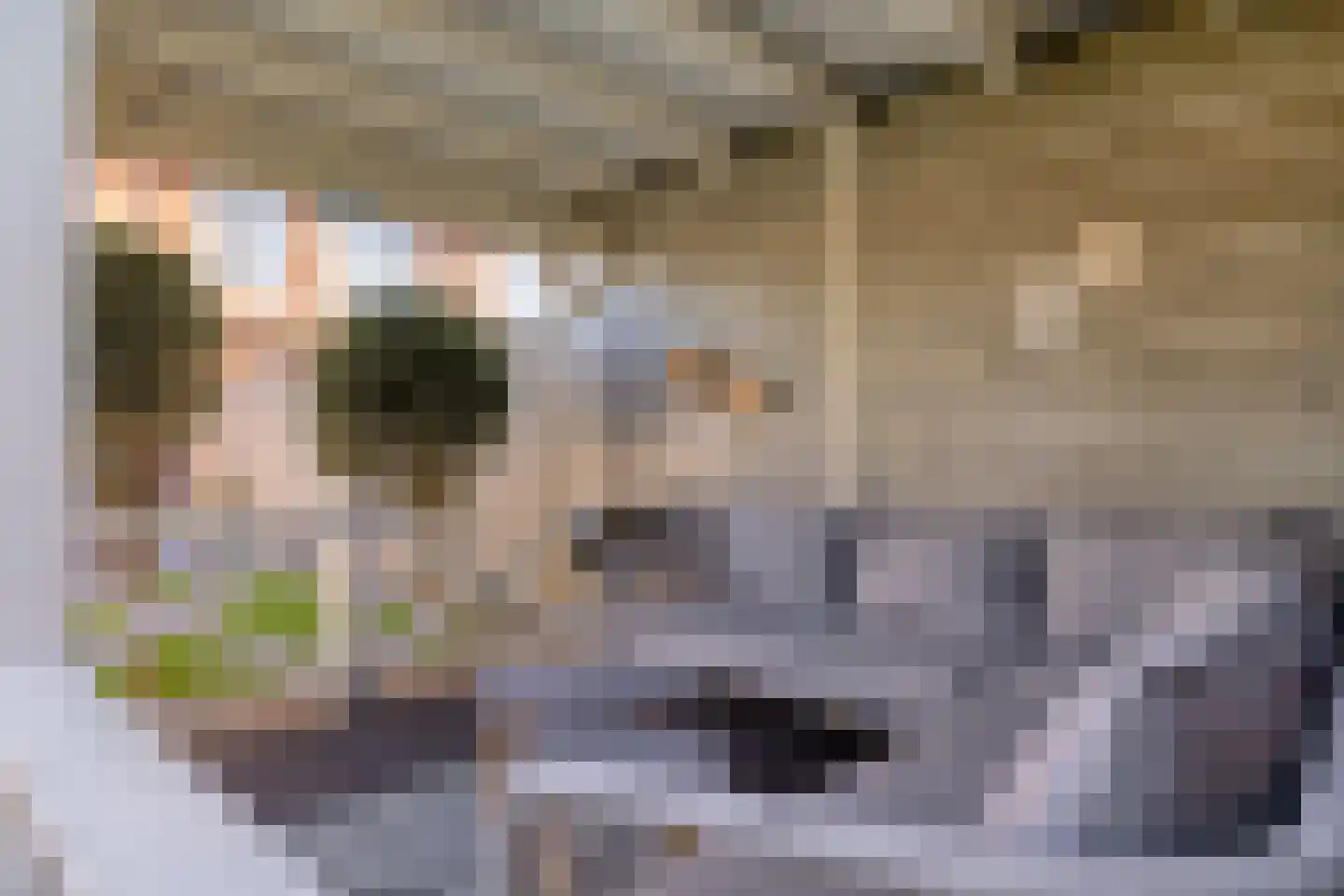 Schipperstraat 84 Etten-Leur thumbnail 37