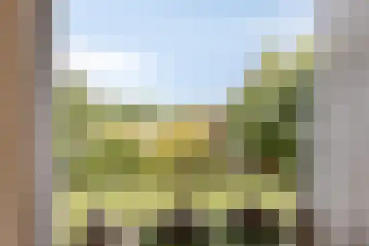 Schippersweg 26 Nieuwdorp thumbnail 13